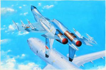 Hobbyboss 1:48 - Chinese J-11B Fighter