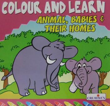 Creative Books - Colour N Learn - Animal Babies & their Homes