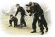 Alanger 1:35 - German Tank Crew 1943-1945