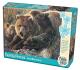 Cobblehill Puzzles Multi 350 - Grizzly Family (Family)