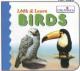 Creative Books - Look & Learn Board Book- Birds