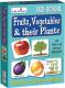 * Creative Pre-School - Fruits Vegs & Their Plants (Dam-Box)