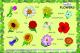 Creative Early Years - Play and Learn - Flowers