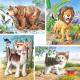 Castorland Jigsaw Premium 4 Puzzle (8,12,15,20 pc) - Animals