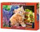 Castorland Jigsaw 500 Pc - Ginger Kitten