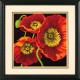 Dimensions Needlepoint: Red Poppy Trio