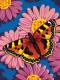 Paintworks Learn to Paint - Butterfly Blossom