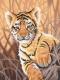 Paintworks Learn to Paint - Tiger Cub