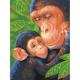 Paintsworks Learn to Paint 9" x 12"- Chimp & Baby