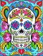 Paintworks Pencil by Numbers - Sugar Skull