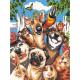 Paintsworks Learn to Paint 9"x 12"- Pet Selfie