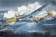 Dragon 1:32 - BF110D-1 / R1 'Dacklebauch'