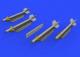 Eduard Brassin 1:72 - R-3S Missiles + Pylons MiG-21 (Edu)