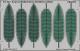 Eduard Photoetch 1:72 - Leaves Palm Cocos Nucifera Colour