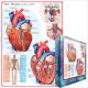 Eurographics Puzzle 1000 Pc - The Heart