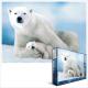 Eurographics Puzzle 1000 Pc - Polar Bear & Baby