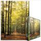 Eurographics Puzzle 1000 Pc - Forest Path