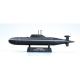Easy Model Subs 1:700 - RUSSIAN AKULA