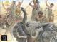 Hat Figures 1:32  - War Elephants