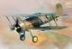 I love Kit 1:48 - Gloster Gladiator MK 2