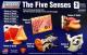 Lindberg - The Five Senses