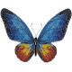 Miniart Crafts - Blue Butterfly