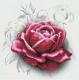 Miniart Crafts - Rose Drawing