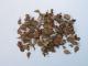 Plusmodel 1:35 Leaves Oak