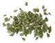 Plusmodel 1:35 - Green leaves - Oak