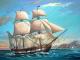 Revell 1:96 - H.M.S. Beagle