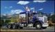 Revell 1:25 - Peterbilt 353