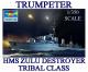 Trumpeter 1:350 - HMS Zulu 1941