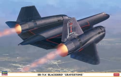 H-2001 - Hasegawa 1:72 - SR-71A Blackbird Gravestone