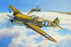 Revell 1:144 Micro Wings - P-40E Warhawk