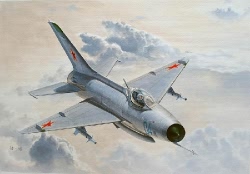 Trumpeter 1:48 - MiG-21 F-13/J-7