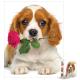 Eurographics Puzzle (Mini) 100 Pc - Dog with Rose  (D