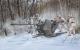 Trumpeter 1:35 - FlaK 37 German 3.7cm Anti-aircraft Gun
